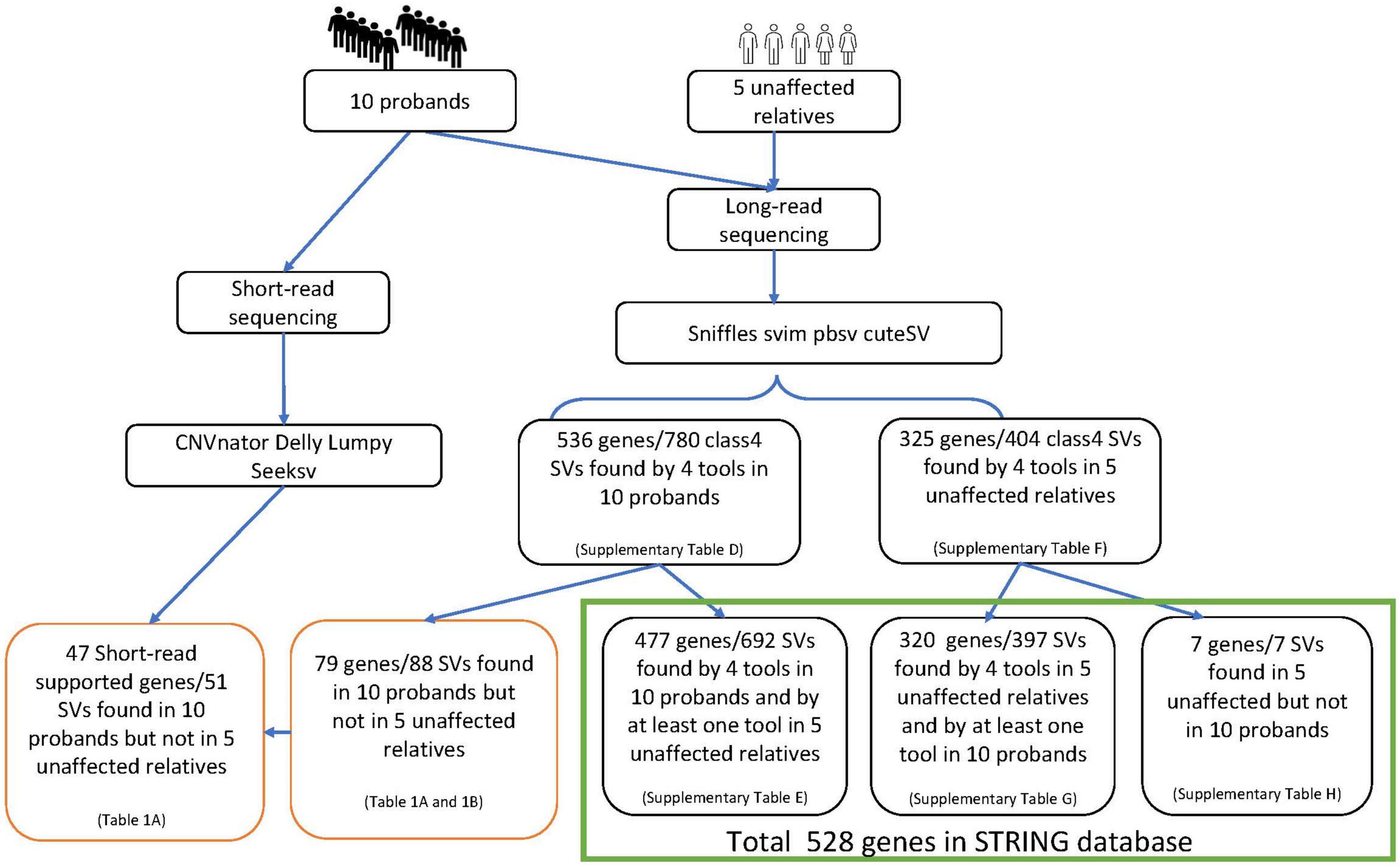 Third-generation genome sequencing implicates medium-sized structural variants in chronic schizophrenia